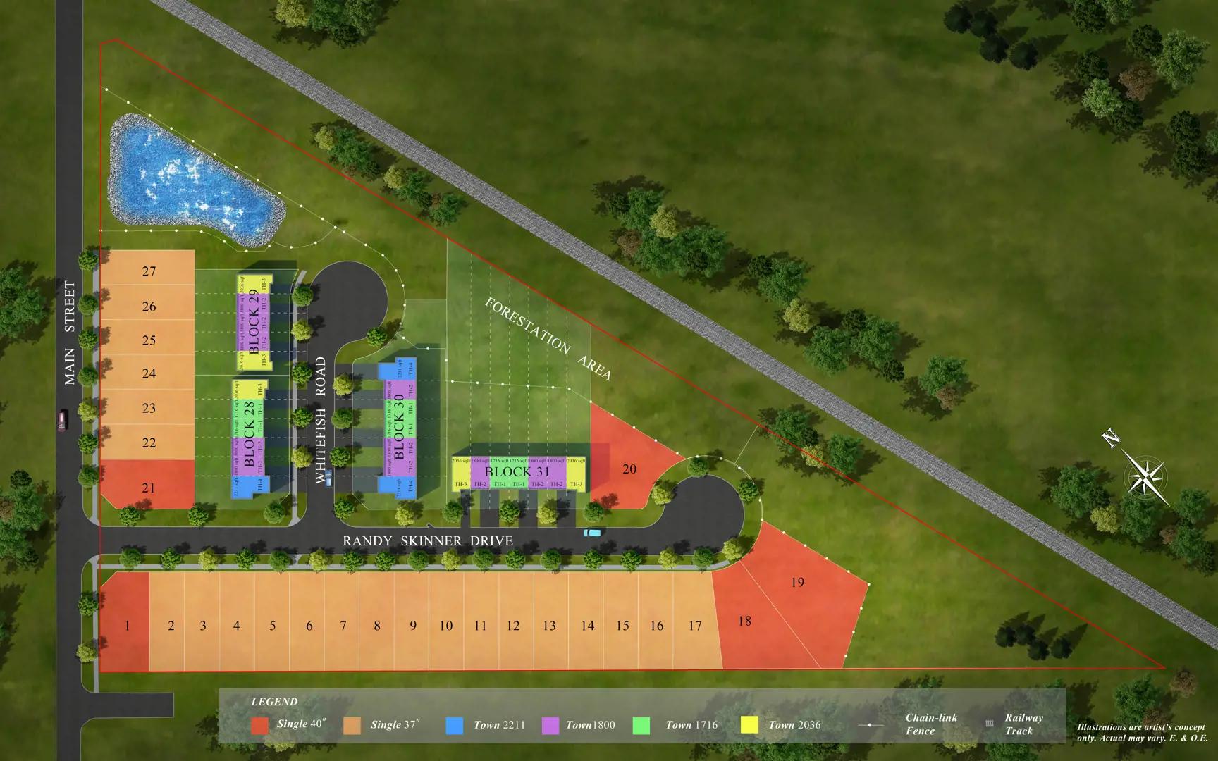 Beaver on the Lake – image 2