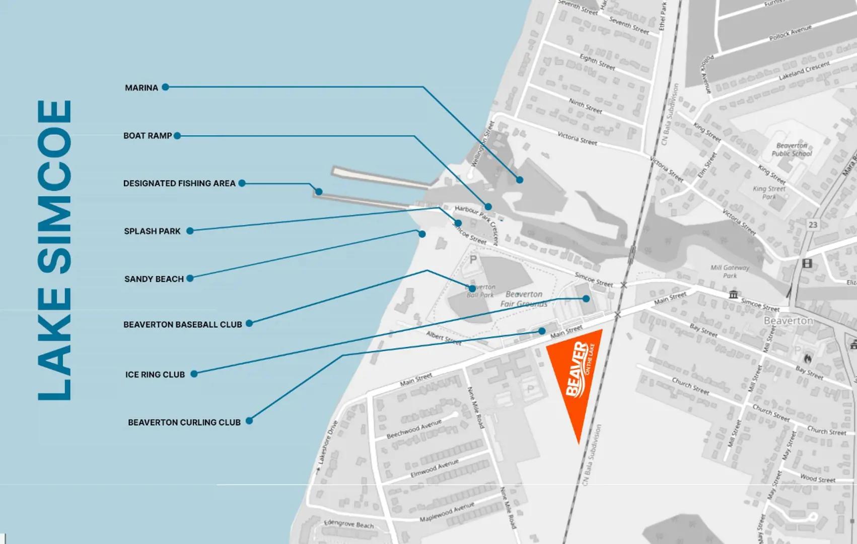 Beaver on the Lake – image 3