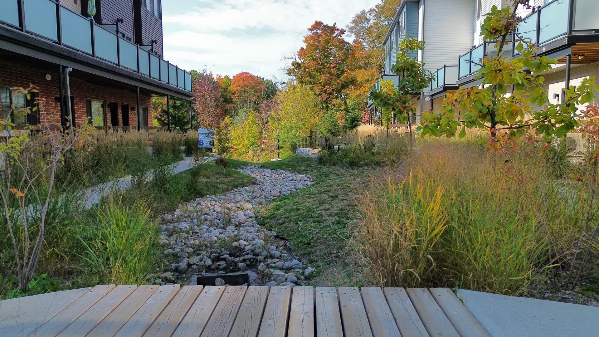 Sean Phase II – image 7