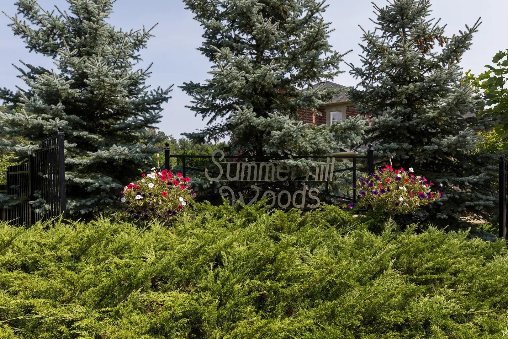 Summerhill – image 2