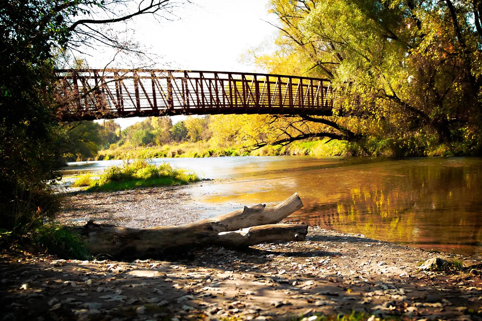 The Crown Collection – image 2