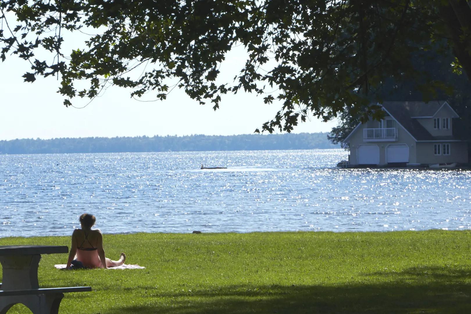 White Pines – image 2