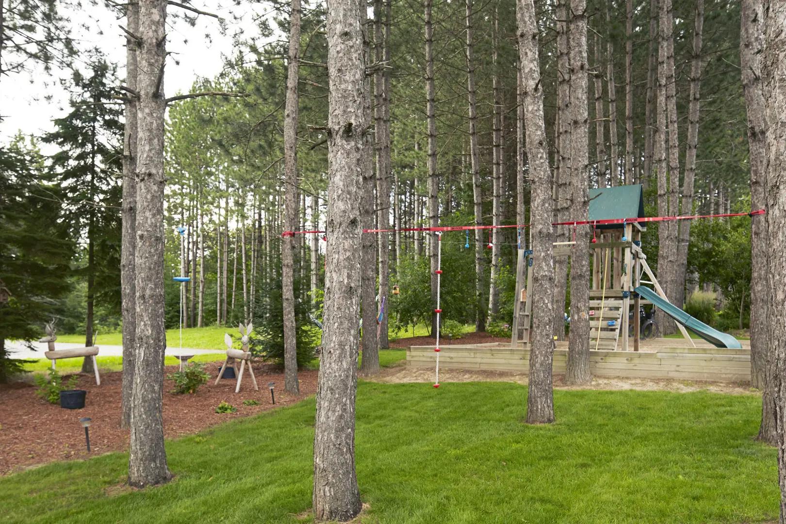 White Pines – image 7