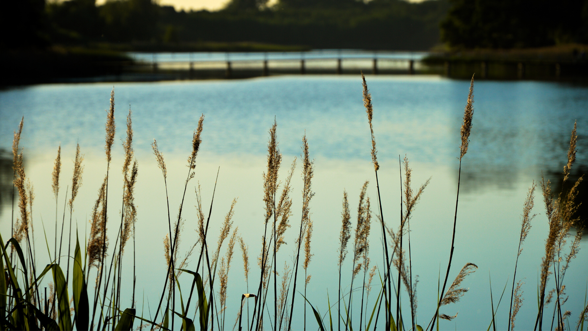 Atwater Towns – image 2