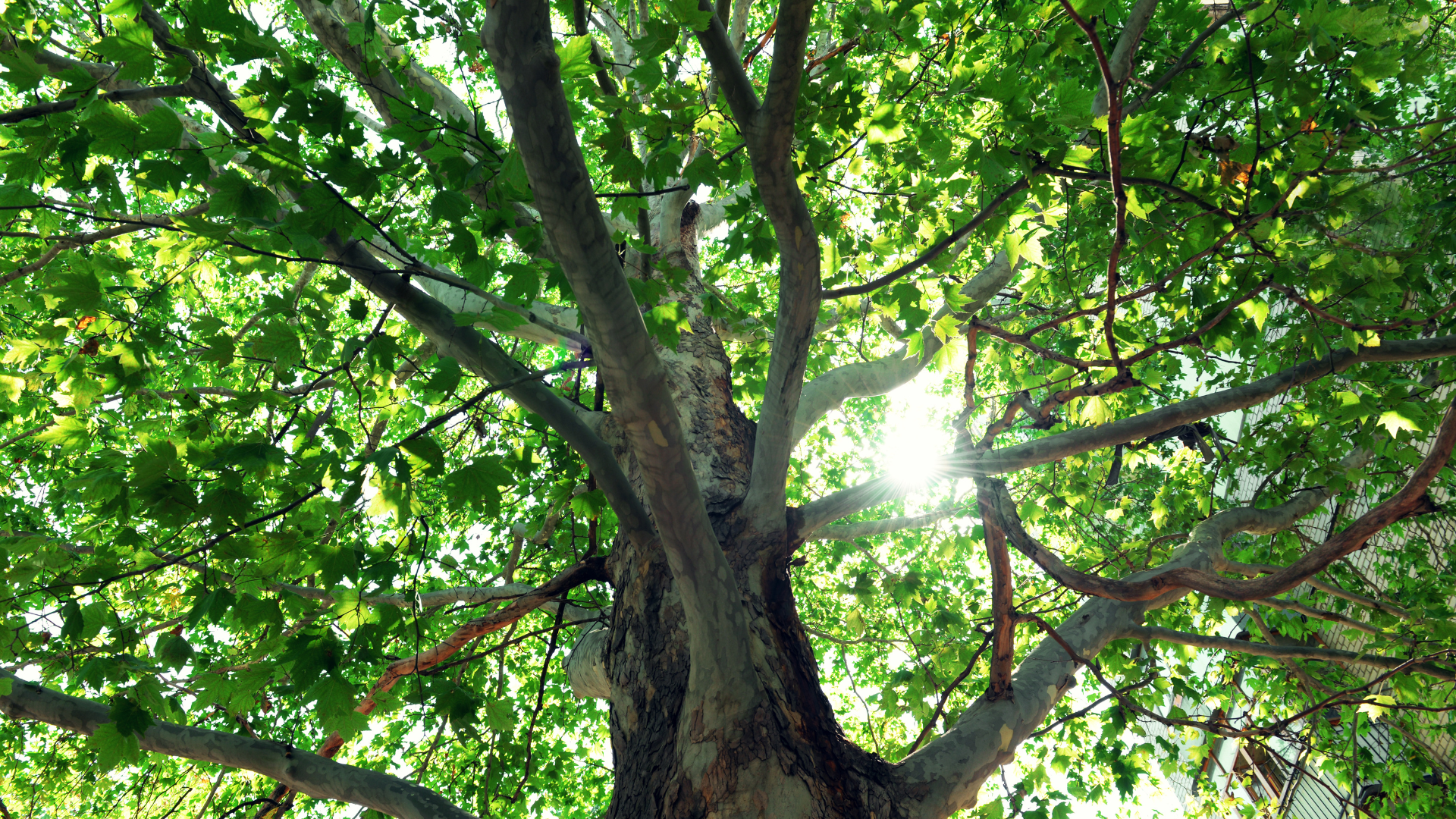 Connections in Kanata – image 4