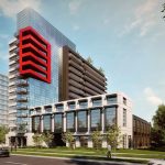 Highlight – image 5