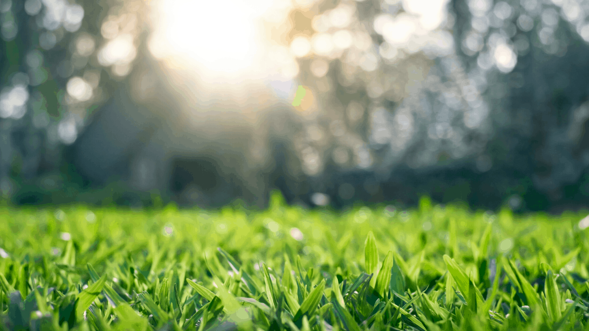 Legends on the Green – image 2