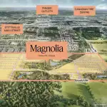 Magnolia – image 3