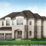 Palmetto – image 3