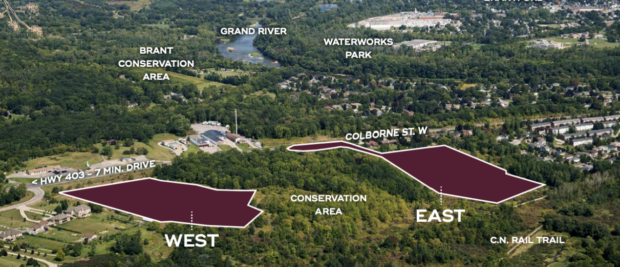 Sienna Woods – image 3