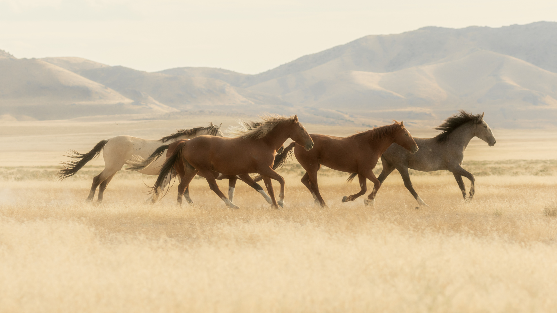 Upper Caledon East by Regal Crest – image 3