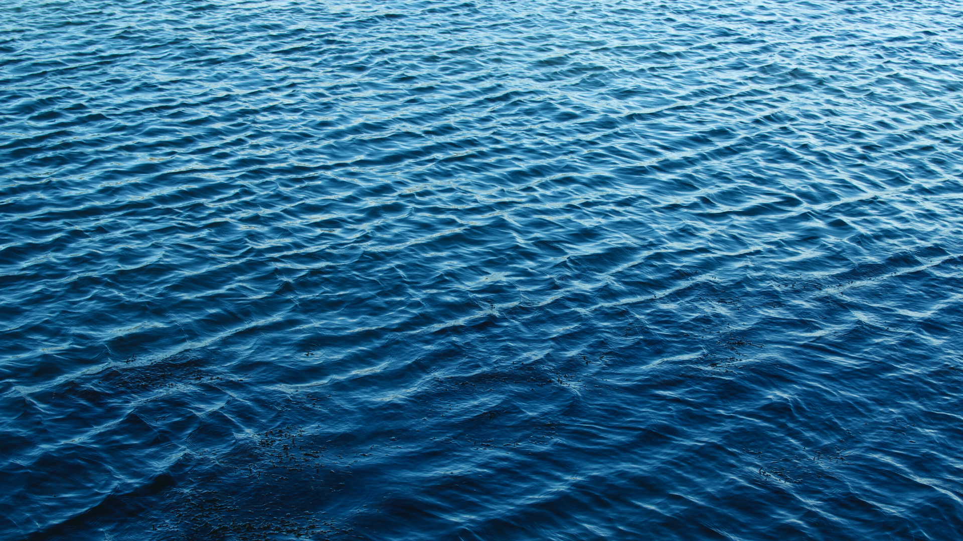 Waterstone Modern Townes