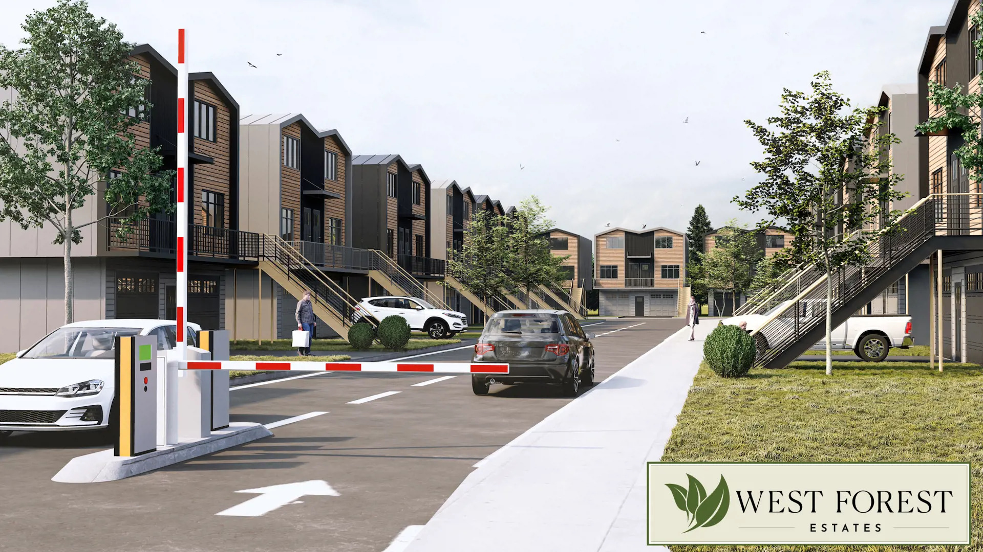 The Forest – image 3